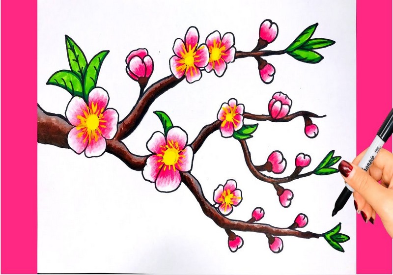 20+ Cách vẽ tranh Tết và mùa xuân đơn giản mà đẹp