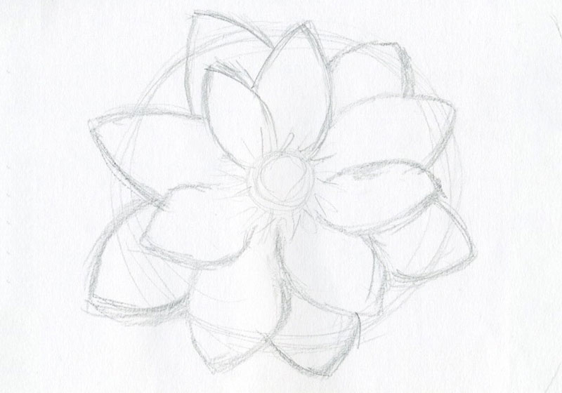Cách vẽ hoa sen đẹp nhất với các bước đơn giản