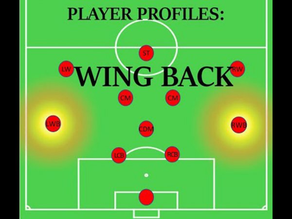 wing-back4-3-3.jpg