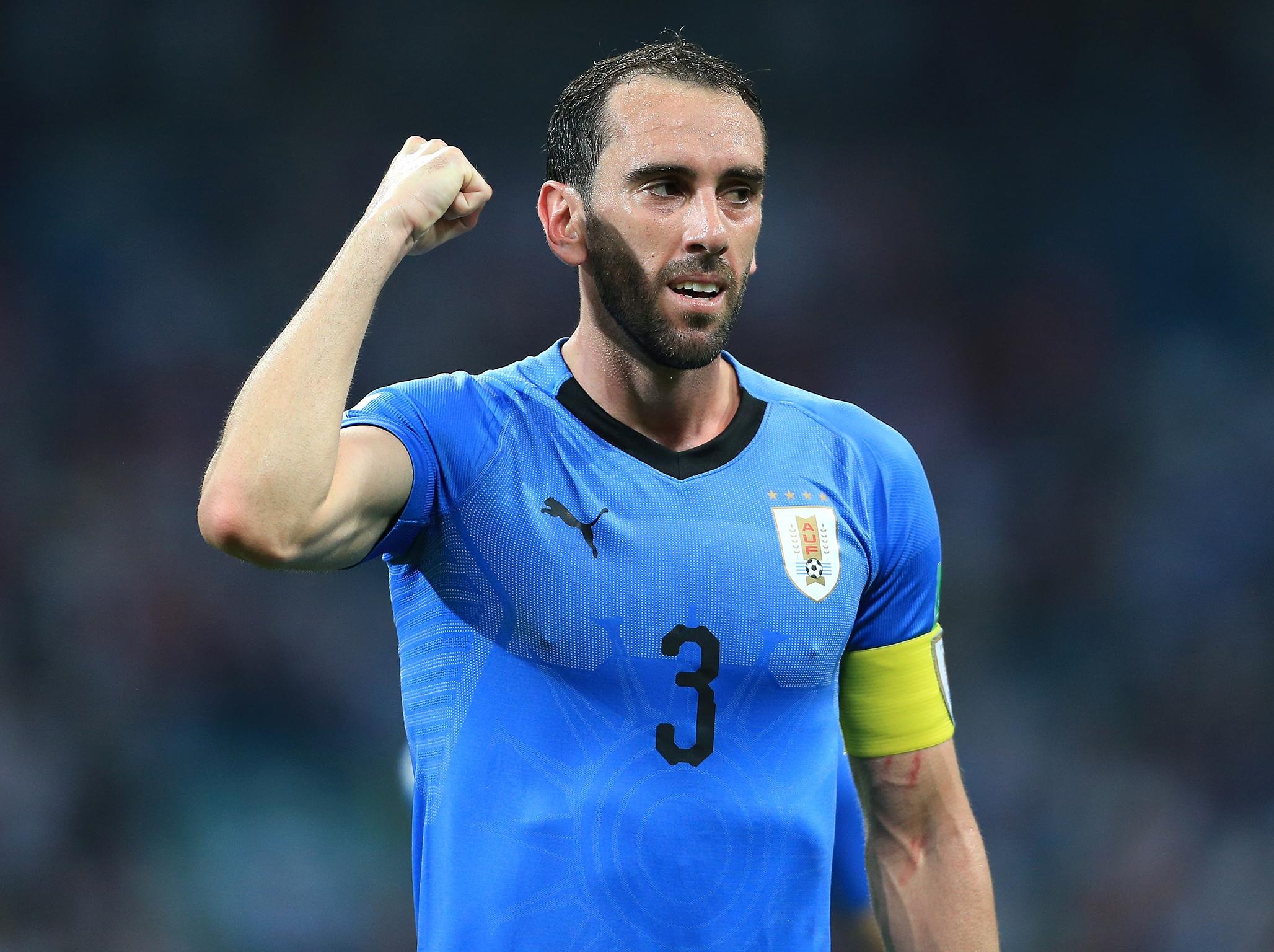 Tiểu Sử Diego Godin - Nam Cầu Thủ Bóng Đá Tài Năng Người Uruguay