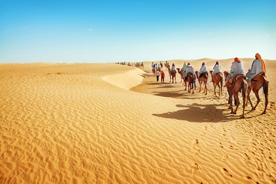 10 sự thật thú vị về sa mạc Sahara | VIETRAVEL